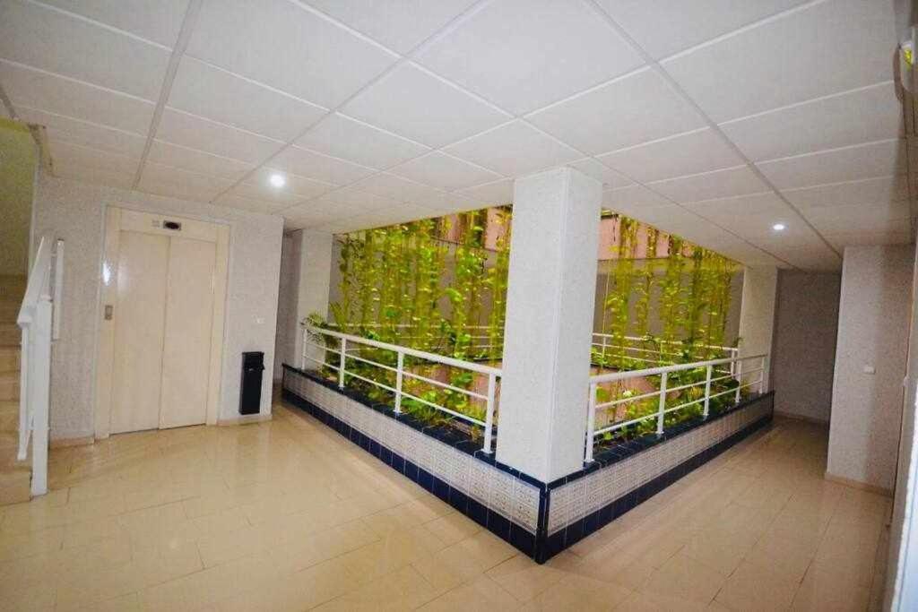 Apartamento Pink Sweet Home Torrevieja Eksteriør billede